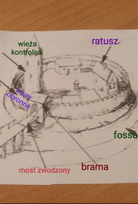 Prosz O Zrobienie Daje Naj Brainly Pl