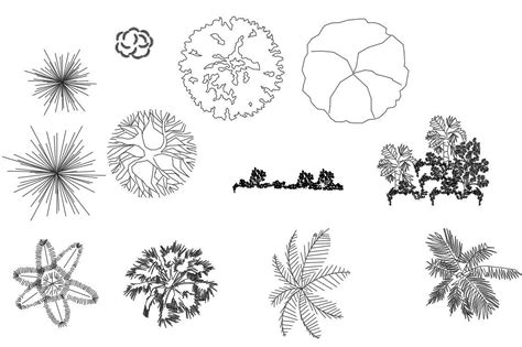 Tree Plant Top View Elevation Blocks Cad Drawing Details Dwg File