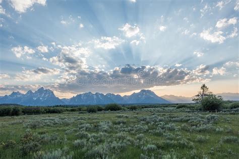 Parque Nacional Grande De Teton Foto De Stock Imagem De Lago Calma