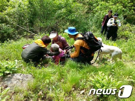 진주서 실종신고된 80대 할머니 인명구조견에 의해 구조 네이트 뉴스