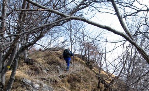 Mercoledì 5 aprile 2017 Monte Medol 1124 m Sezione CAI di Cervignano