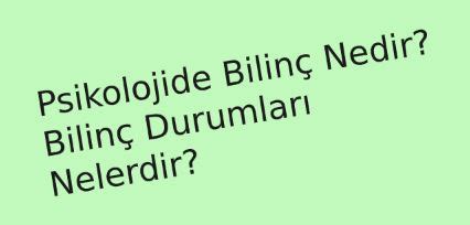 Psikolojide Bilin Nedir Bilin Durumlar Nelerdir Psikoloji Bilimi