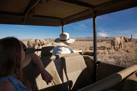 Inverdoorn Private Game Reserve | South Africa | Wild Safari Guide