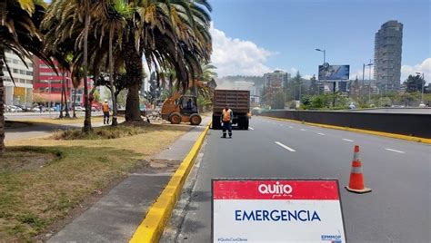 Rehabilitaci N Del Parterre Central De La Av Naciones Unidas Quito