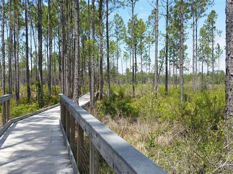 This Vast Conservation Oasis In Florida Is A Nature Lover’s Paradise