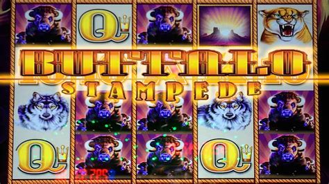 BUFFALO STAMPEDE Slot Machine BIG WIN BONUS and Nice Line Hit by Aristocrat - YouTube