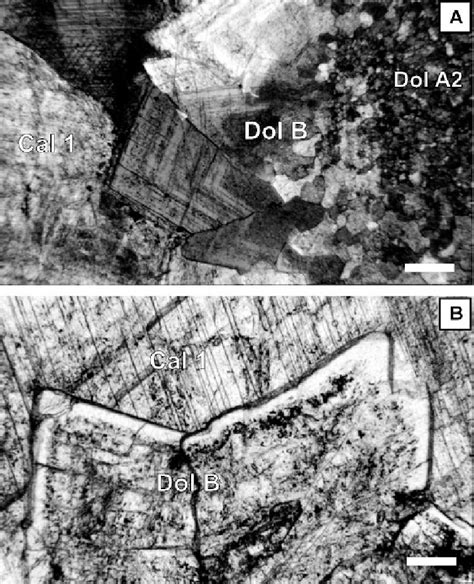 Photomicrographs Showing The Spatial And Textural Relationships Of