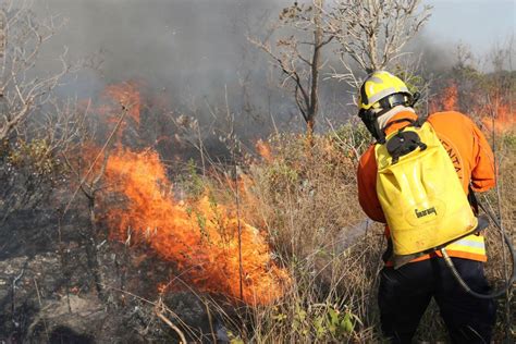 Campanha Vem Conscientizar Sobre Riscos De Queimadas Durante A Seca