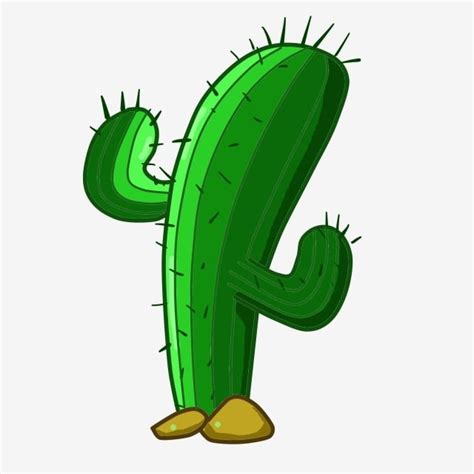 Desert Green Cactus Cactus Clipart Cactus Green PNG Transparent