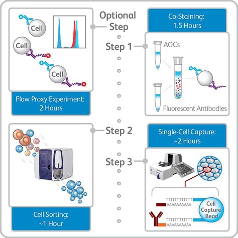 Cell Press Star Protocols