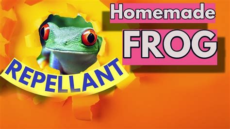 How To Make Homemade Frog Repellent Youtube