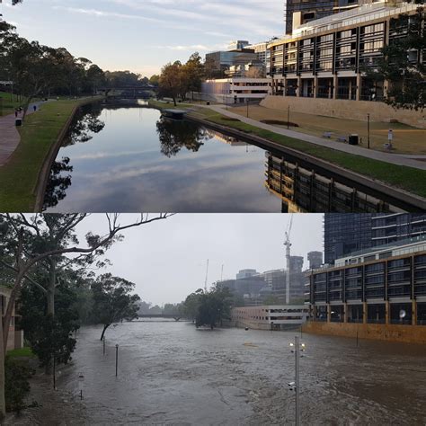 You Won't BELIEVE What Happened After The Sydney Lint Leak Image 20
