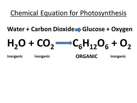 Balanced Equation for Photosynthesis - Richard Reid