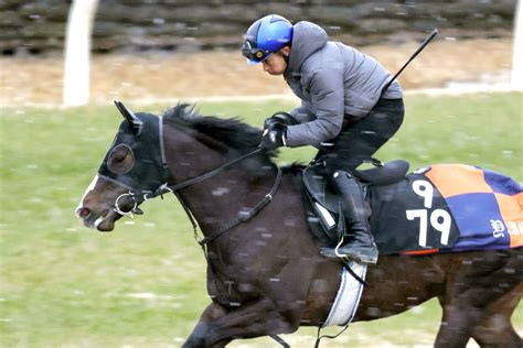 【岩田康誠の熱血！！競馬道】ビーアストニッシドの状態は最高です Umatoku 馬トク