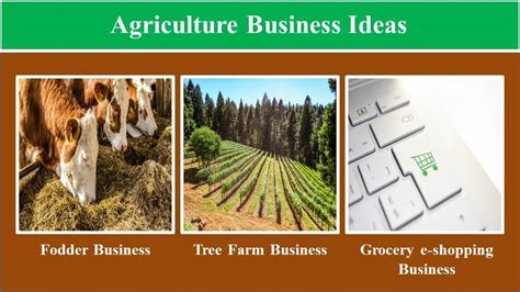 Top Agriculture Business Ideas Agrimoon