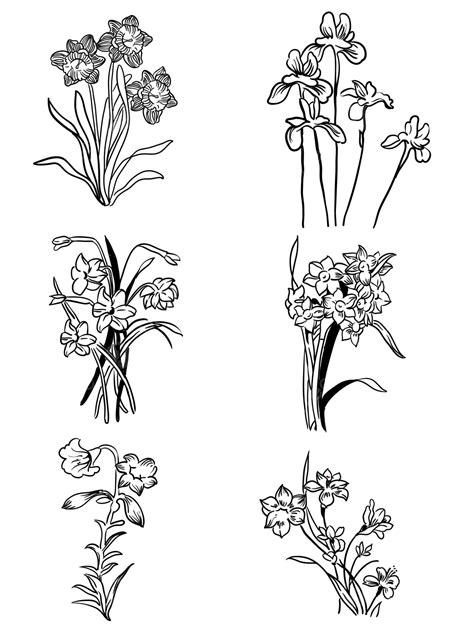 水仙花復古寫實手繪線描 手繪 水仙花 花卉向量圖案素材免費下載PNGEPS和AI素材下載 Pngtree