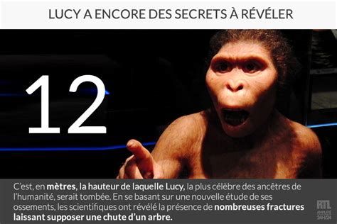 Lucy L Australopith Que Serait Morte En Tombant D Un Arbre