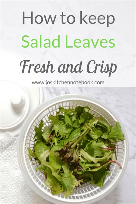 How To Keep Salad Leaves Fresh And Crisp Pin Jo S Kitchen Notebook