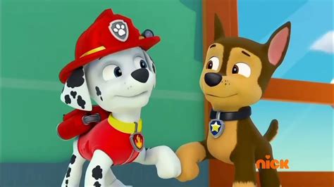 Paw Patrol Friendship Day Song Youtube