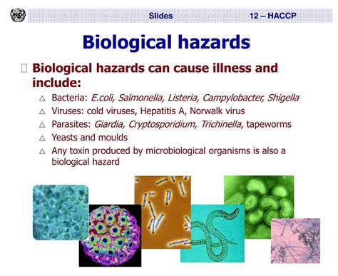 Ppt Hazard Analysis And Critical Control Points Haccp Powerpoint Presentation Id 8581759