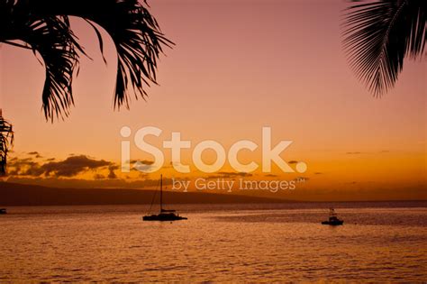 Island Sunset Stock Photo | Royalty-Free | FreeImages