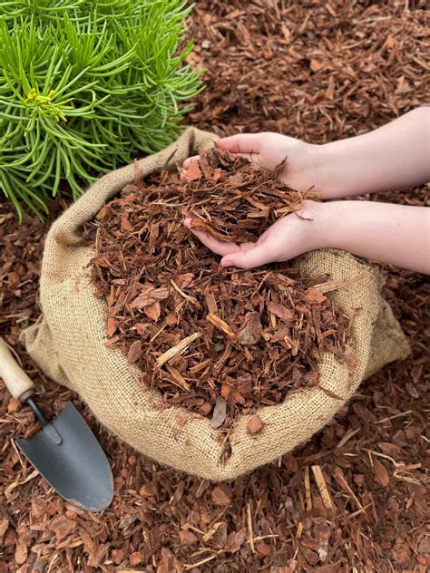 The Best Bagged Mulches Of Babykuhr