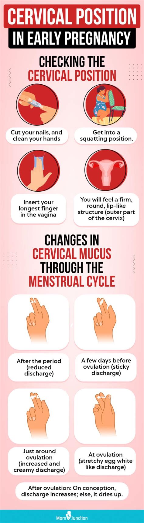 Supreme Info About How To Check Your Cervical Position - Explanationbrush