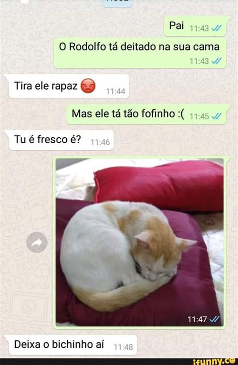 Pai O Rodolfo T Deitado Na Sua Cama Mas Ele T T O Fofinho