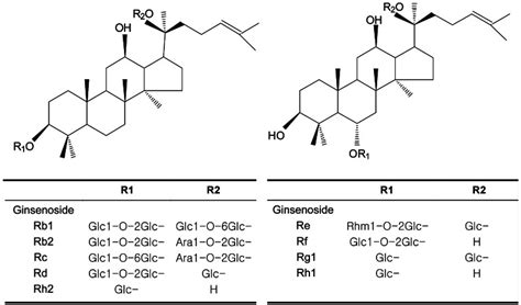 Ginsenoside Rd Inhibits The Expressions Of Inos And Cox By