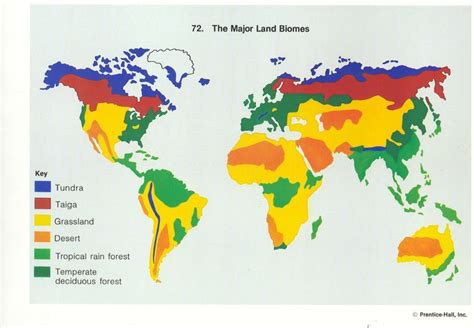 Biomes Map