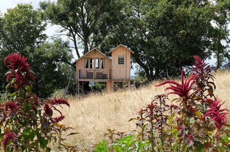 Treehouse Airbnbs for unique treehouse holidays in UK and beyond