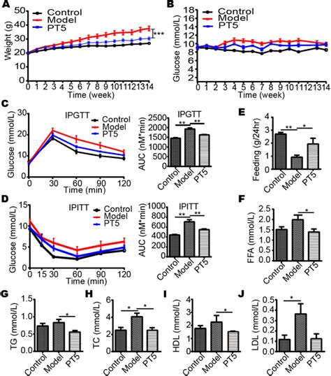 PT5 Ameliorated NAFLD Via Serum Glucose And Lipid Levels In C57BL 6 SPF