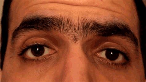 Unibrow GIFs - Find & Share on GIPHY