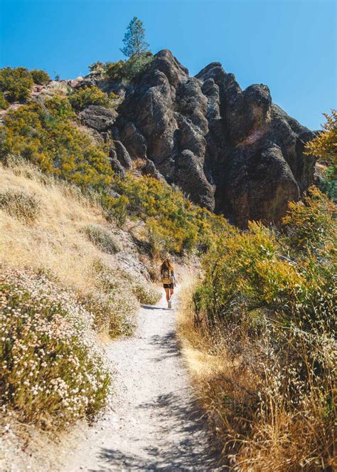 7 Best Hikes In Pinnacles National Park