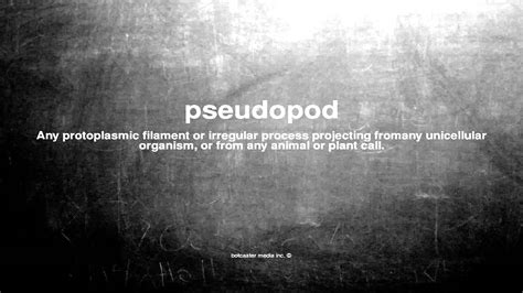 What does pseudopod mean - YouTube