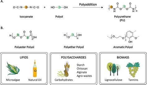 From Lab To Market Current Strategies For The Production Of Biobased