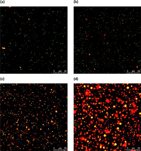 Confocal Micrographs Of The Human Breast Milk Captured At A 3 B Download Scientific