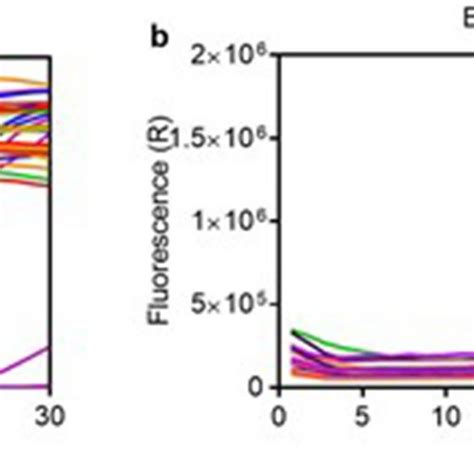 The Analytical Sensitivity Of The Sars Cov Rt Siba Assay