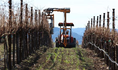 Grapevine Pruning Techniques: Double-Pruning with Pre-Pruner Machine