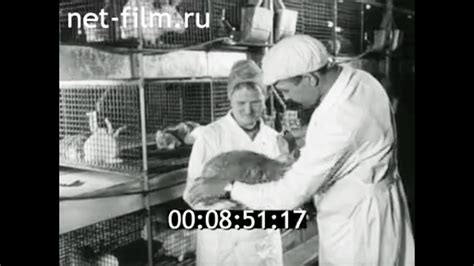 1972г. кролиководческий комплекс. село Горьковка Тюменская обл. - YouTube