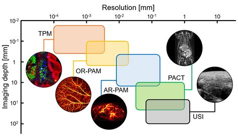 Nanomaterials Free Full Text Recent Advances In Photoacoustic