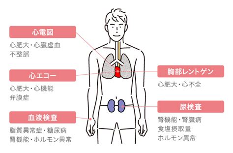 【医師監修】血圧の正常値・平均はいくつ？血圧を下げる方法なども紹介！ もしものはなし 楽天保険の総合窓口