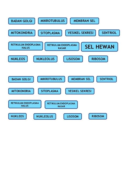 Ipa sel hewan | PDF