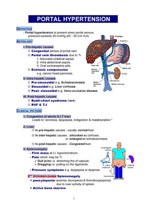 Biliary System Medicine Way Gall Stones Chronic