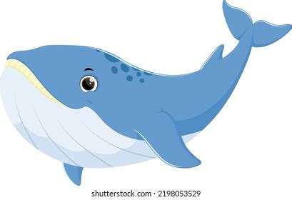 Caricatura De Ballena Linda Aislada En Vector De Stock Libre De