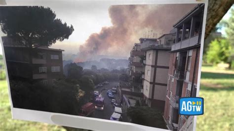 Parco Del Pineto Roma Un Anno Dopo Il Grande Incendio I Cittadini