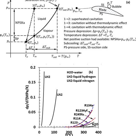 Fluid Domain Of The Cavitating Flow Around The Naca Hydrofoil In A