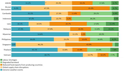 Figure 1 Asean Food Security Fulcrum