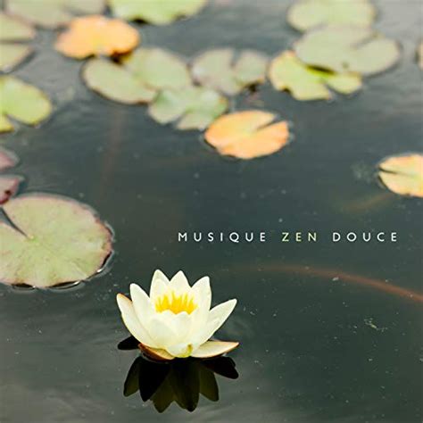 Musique Zen Douce Arr Ter De Penser D Tente Et Relaxation Pour Dormir