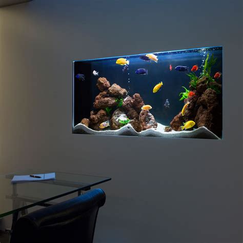 African Malawian Lake Aquarium Aquarium Architecture Wall Aquarium